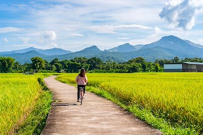 Femme faisant du vélo dans une rizière - Thailande