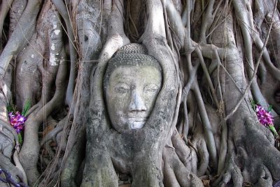 Ayutthaya - Thailande