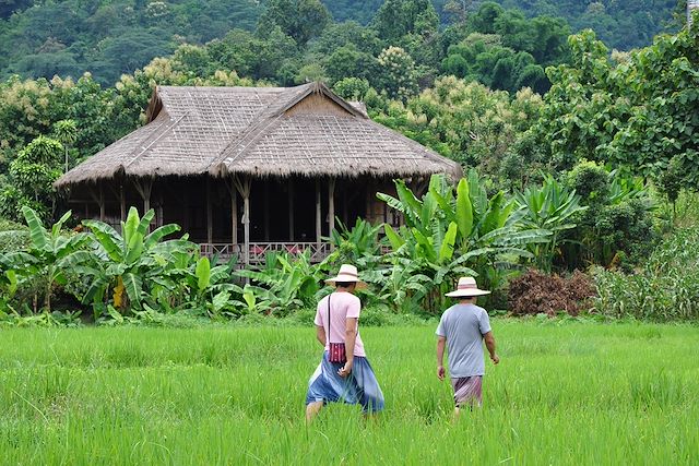 Voyage Charme et traditions: le nord Thaïlandais en lodge