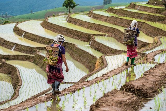 Voyage Thaïlande et Laos : Plongée au cœur de l’Asie