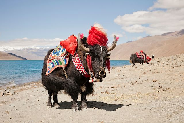 Voyage Traversée du Tibet central