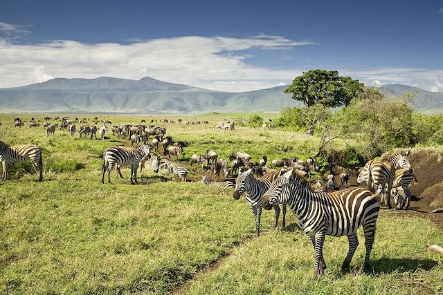 Voyage Grande expédition tanzanienne