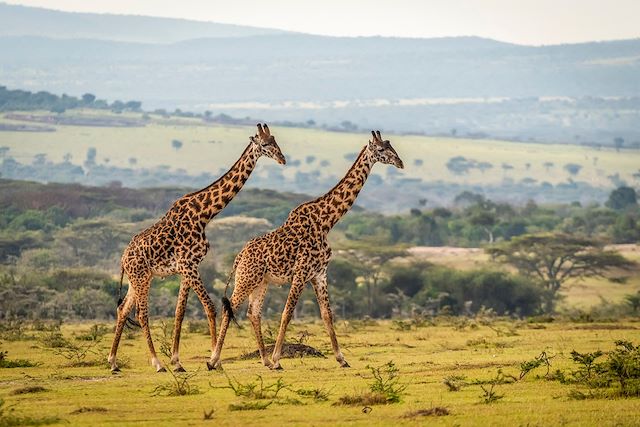 Voyage Safaris d'exception de la Tanzanie au Rwanda