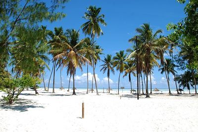 Plage près de Jambiani - Zanzibar