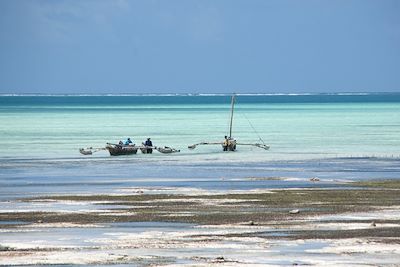 Jambiani - Ile de Unguja - Zanzibar - Tanzanie