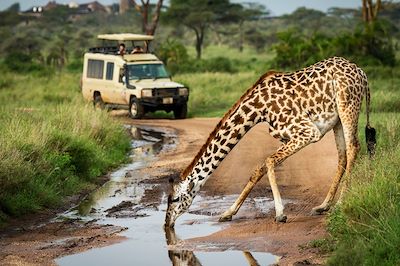 Au coeur du Selous, l'autre visage de la Tanzanie