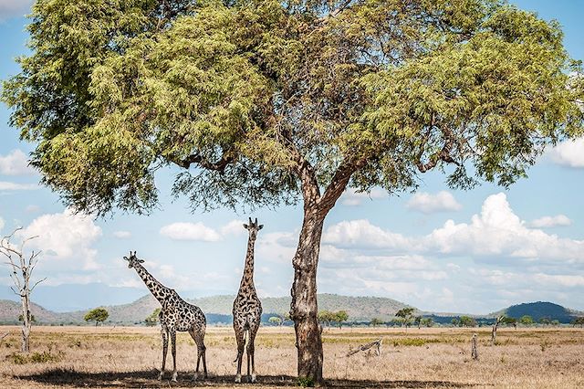 Voyage Safaris au coeur de Nyerere, la Tanzanie autrement