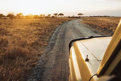 Voyage Tanzanie