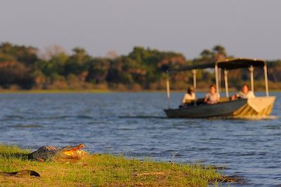 Observation animaliere sur la rivère Rufiji, en Tanzanie