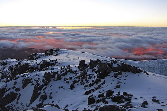 Voyage Kilimandjaro, voie Machame (5895m)