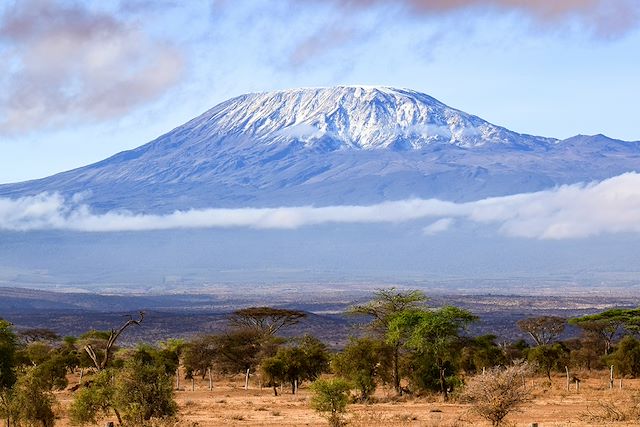 Voyage Kilimandjaro, voie Machame (5895m)