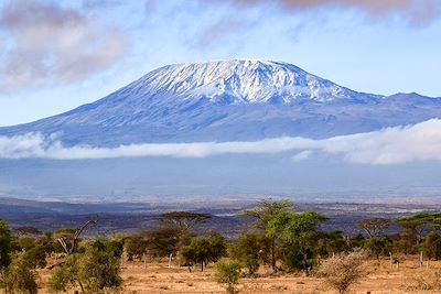 Kilimandjaro - Tanzanie 