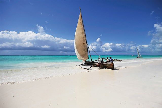 Voyage Safari magique et évasion à Zanzibar