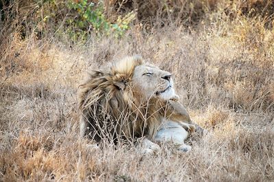 Cratère du Ngorongoro - Tanzanie