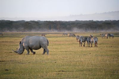 Tanzanie