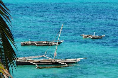 Du bush tanzanien aux plages de Zanzibar