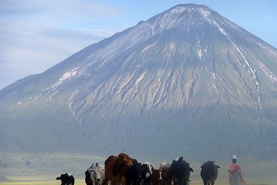  Berger et son troupeau de vaches - Tanzanie