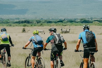 Cyclistes avec des zèbres en toile de fond - Région Kilimandjaro - Tanzanie