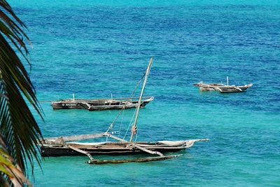 Plage près de Jambiani - Zanzibar