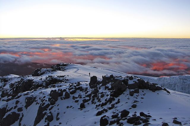 Voyage Du Kilimandjaro aux plages de Zanzibar