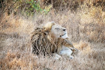 Cratère du Ngorongoro - Tanzanie