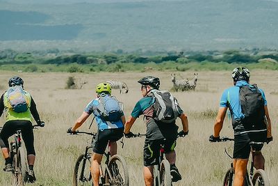 Cyclistes avec des zèbres en toile de fond - Région Kilimandjaro - Tanzanie