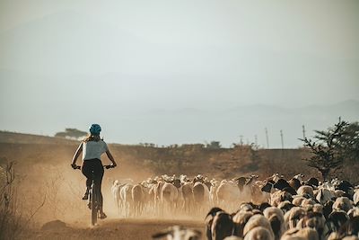 Femme faisant du vélo avec un troupeau dans la savane - région Kilimandjaro - Tanzanie