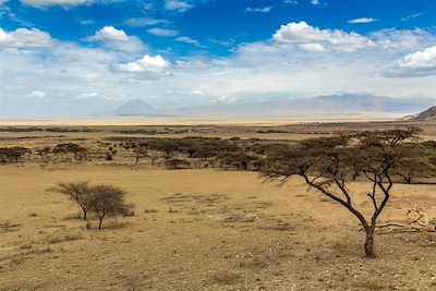 Région des Gol Mountains - Tanzanie