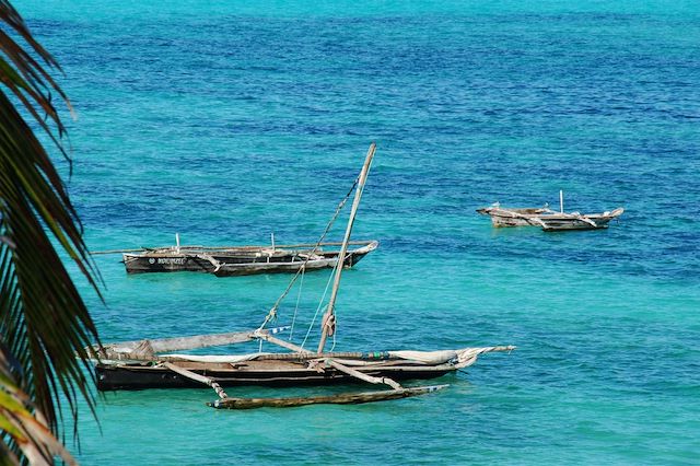 Voyage Du bush tanzanien aux plages de Zanzibar