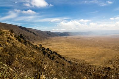 Cratère du Ngorongoro - Tanzanie