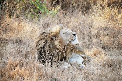 Cratère du Ngorongoro - Tanzanie