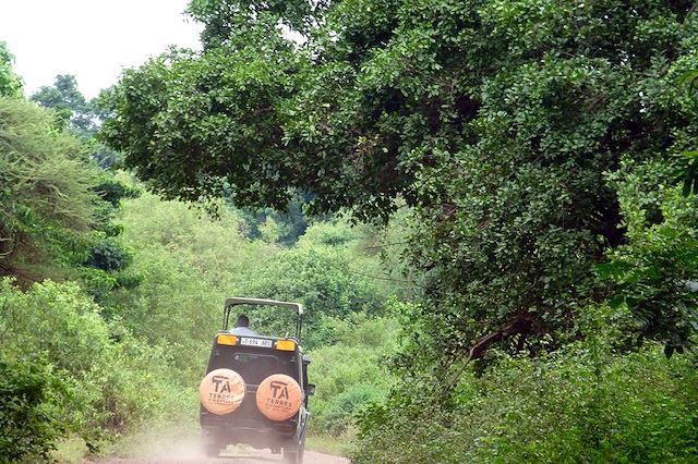 Voyage Kilimandjaro et safaris dans le bush tanzanien