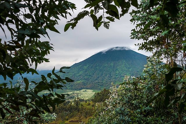 Voyage Ouganda - Rwanda, spécial primates