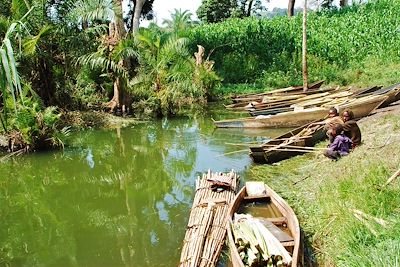 Marais de Bigodi - Ouganda