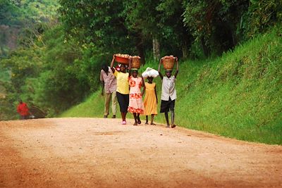 Marais de Bigodi - Ouganda