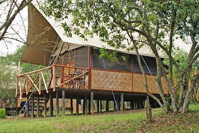 The Bush Lodge - Parc National Queen Elizabeth - Ouganda