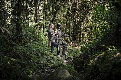 Sanctuary Gorilla Forest Camp - Bwindi - Ouganda