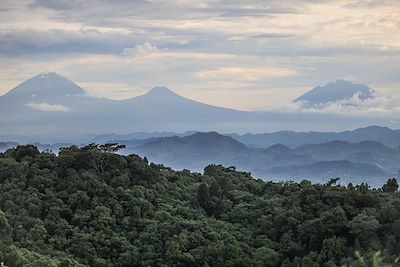 Nkuringo Bwindi Gorilla Lodge - Bwindi sud - Ouganda