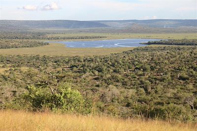 Mihingo Lodge - Lac Mburo - Ouganda