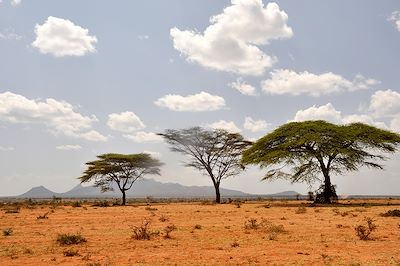 Parc national Kidepo Valley - Ouganda