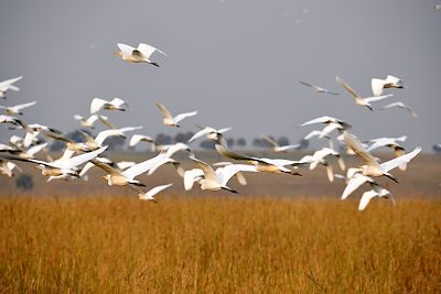 Parc national Kidepo Valley - Ouganda