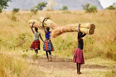 Voyage Forêts, collines, rivières et lacs Ouganda