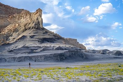 randonneuse dans le Desert Landmark