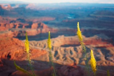 Canyonlands National Park, Utah