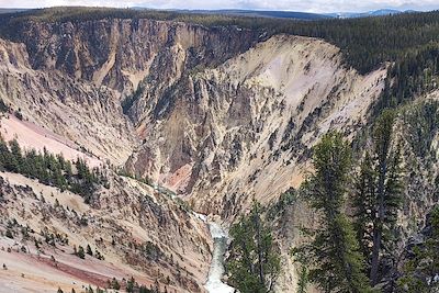 Parc national de Yellowstone - Wyoming - Etats-Unis