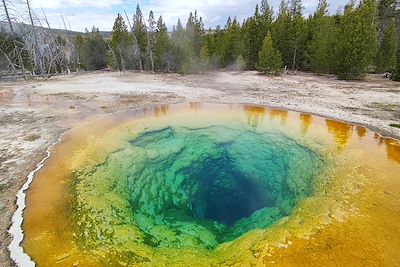 Morning Glory Pool - Parc national de Yellowstone - Wyoming - Etats-Unis