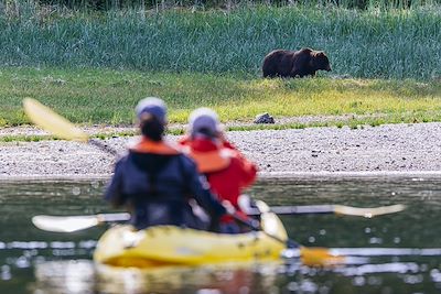 Balade en canoe et observation d'un ours