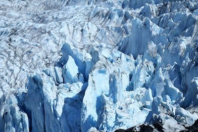 Glacier Mc Carty - Péninsule de Kenai - Alaska - États-Unis 