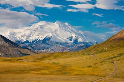 Parc National Denali - Alaska