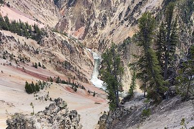 Parc national de Yellowstone - Wyoming - Etats-Unis